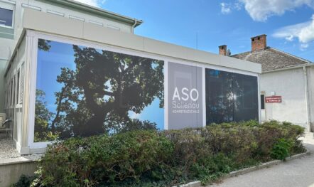 Stationäre Lösung_Algeco